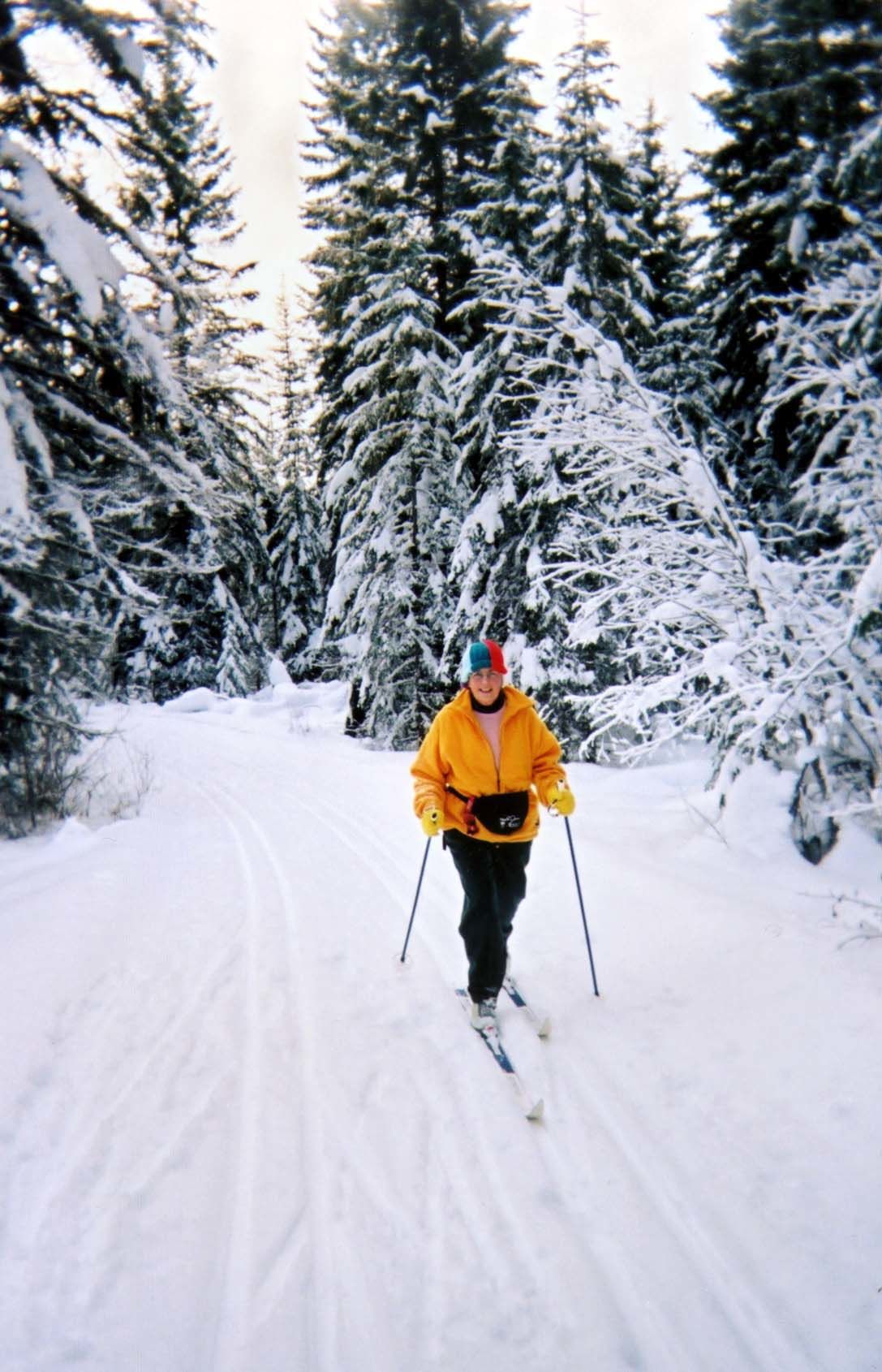 Helmcken Falls Lodge Cabin Rooms And Rv Park كليرووتر المظهر الخارجي الصورة